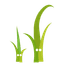 Twig